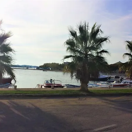 Jelica Vodice